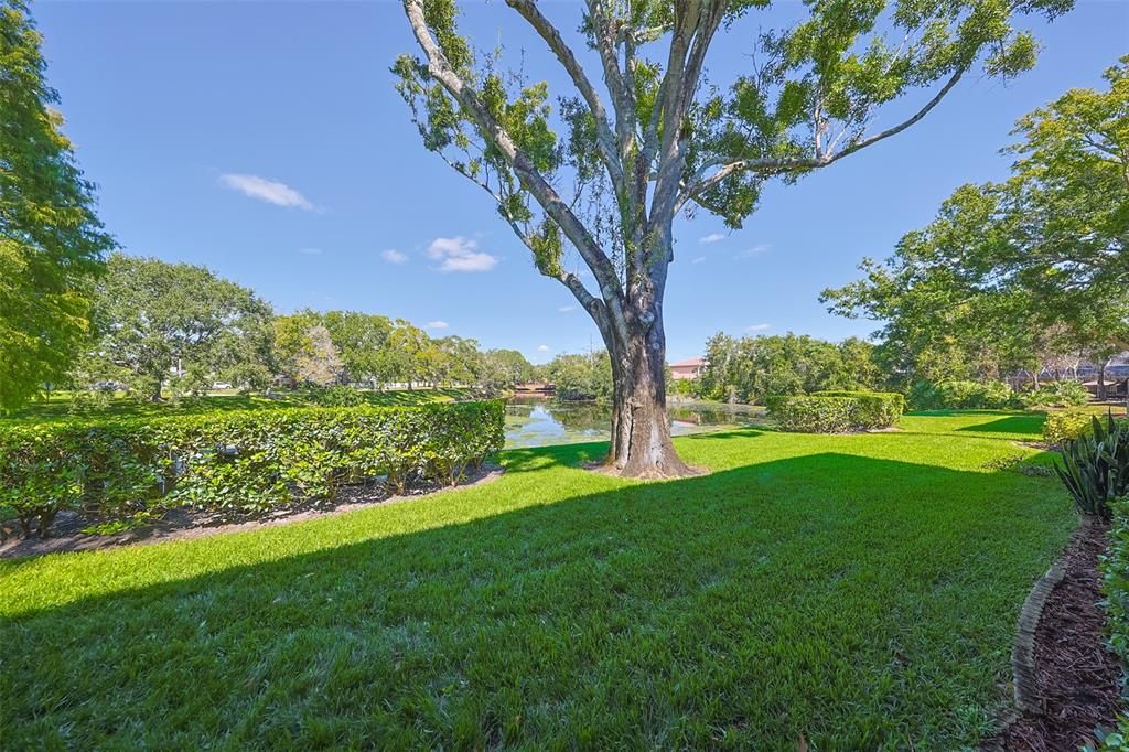 待售: $290,000 (2 贝兹, 2 浴室, 1226 平方英尺)