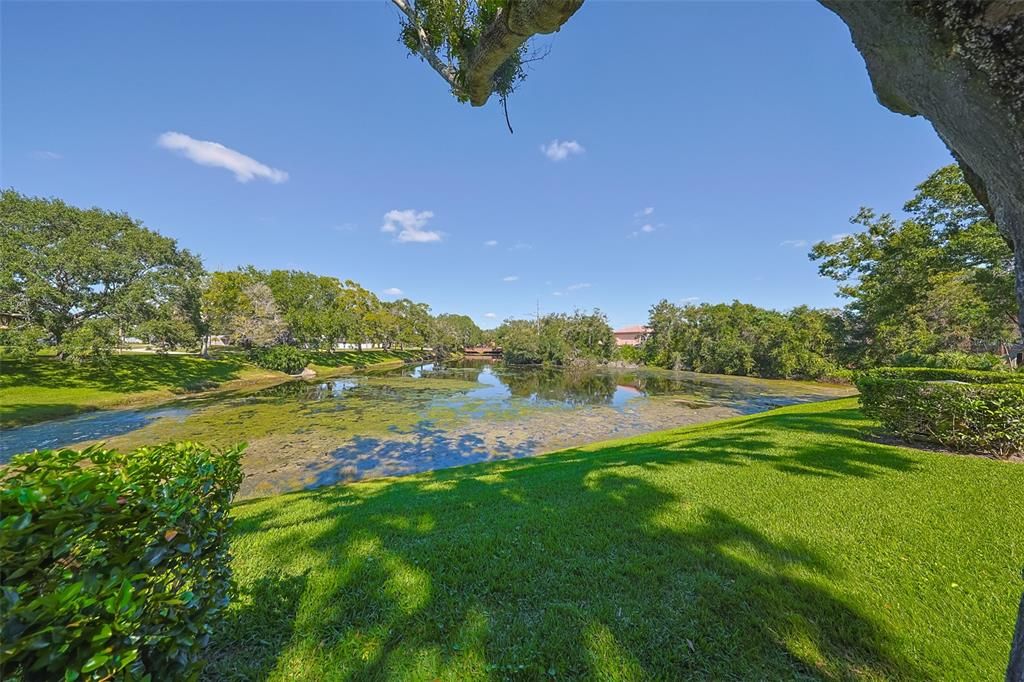 待售: $290,000 (2 贝兹, 2 浴室, 1226 平方英尺)