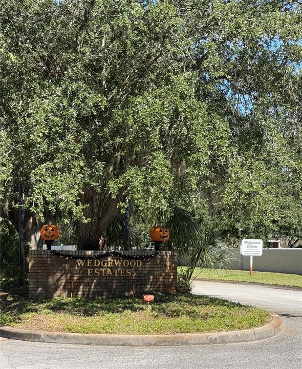 En Venta: $79,000 (0.55 acres)