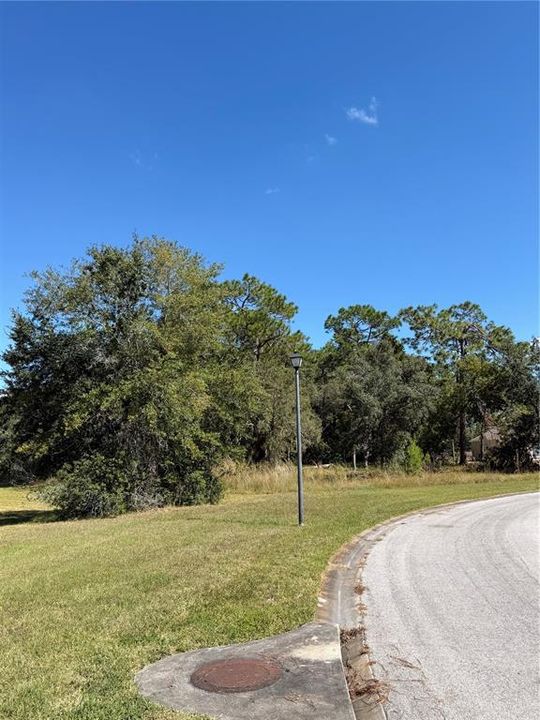 En Venta: $79,000 (0.55 acres)