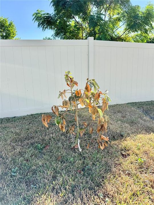 На продажу: $525,000 (4 спален, 3 ванн, 2332 Квадратных фут)