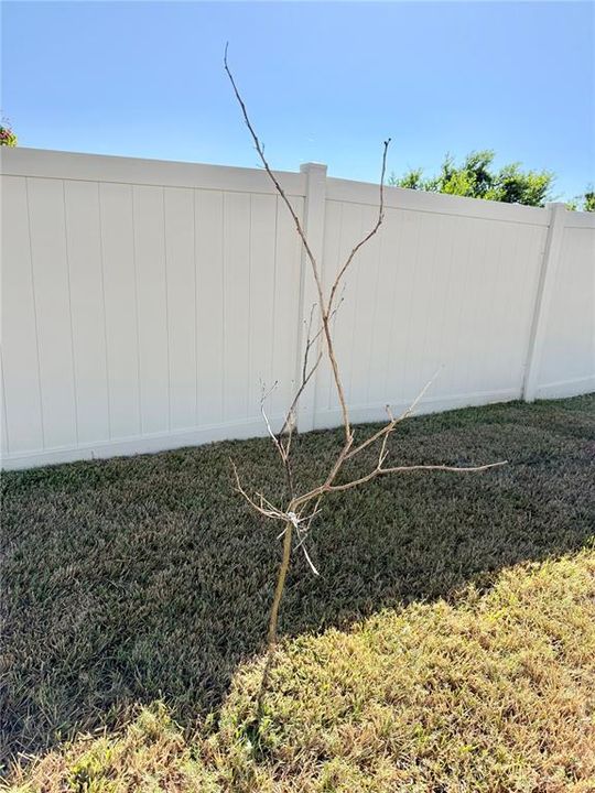 На продажу: $525,000 (4 спален, 3 ванн, 2332 Квадратных фут)