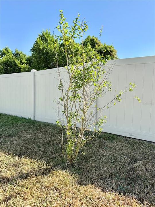 На продажу: $525,000 (4 спален, 3 ванн, 2332 Квадратных фут)