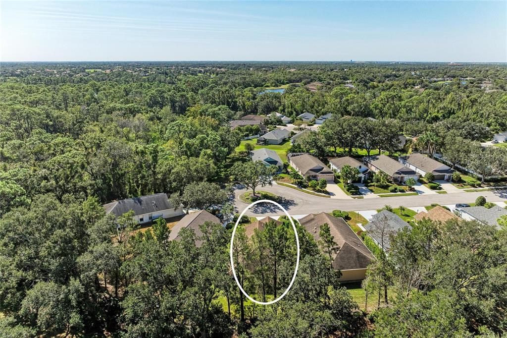 For Sale: $435,000 (3 beds, 2 baths, 1506 Square Feet)