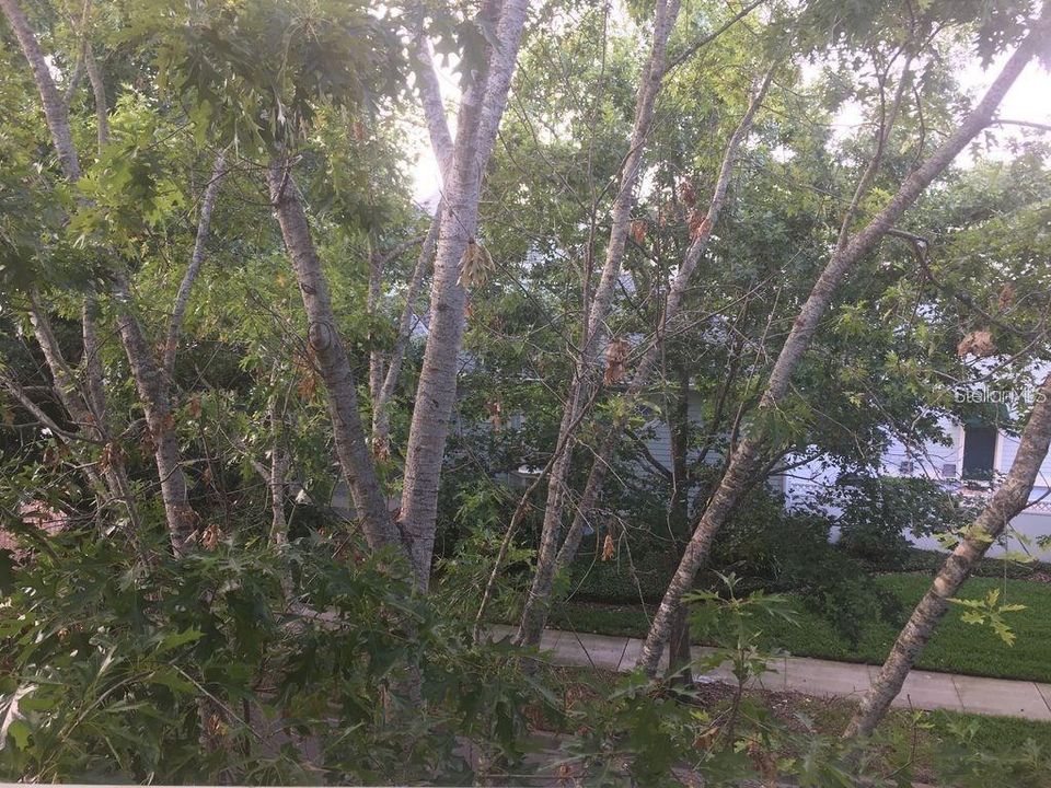 Active With Contract: $2,000 (2 beds, 2 baths, 1261 Square Feet)