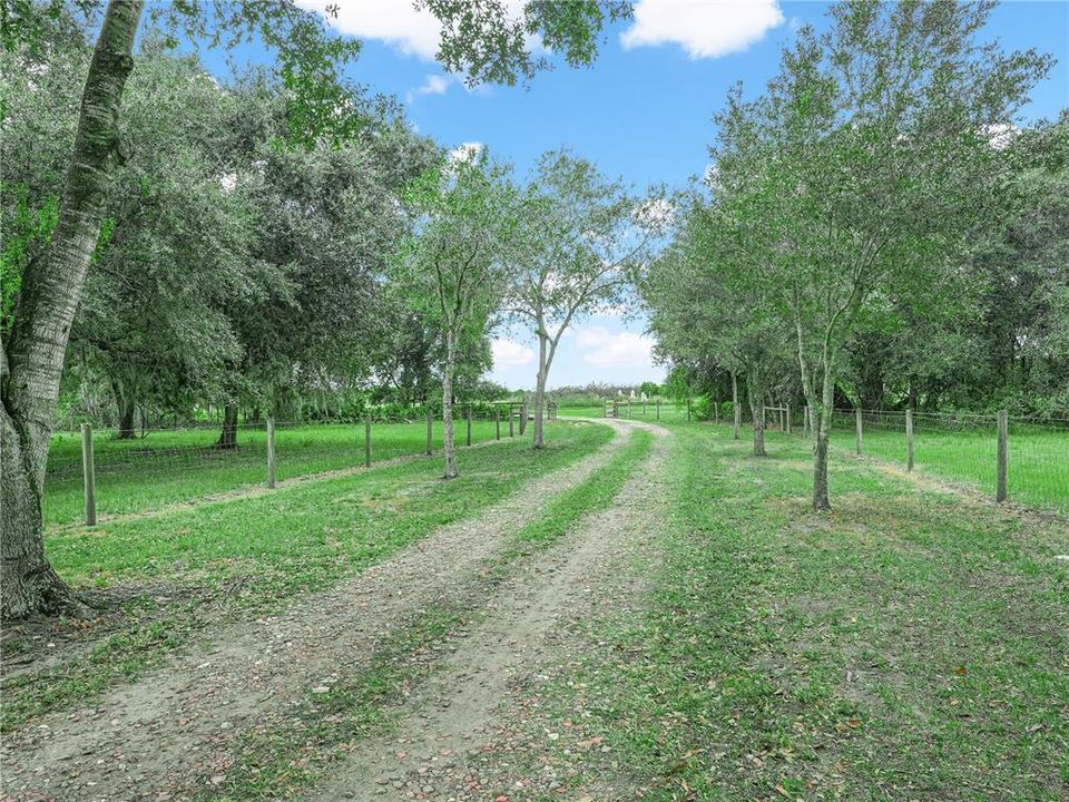 待售: $749,999 (4 贝兹, 2 浴室, 3801 平方英尺)