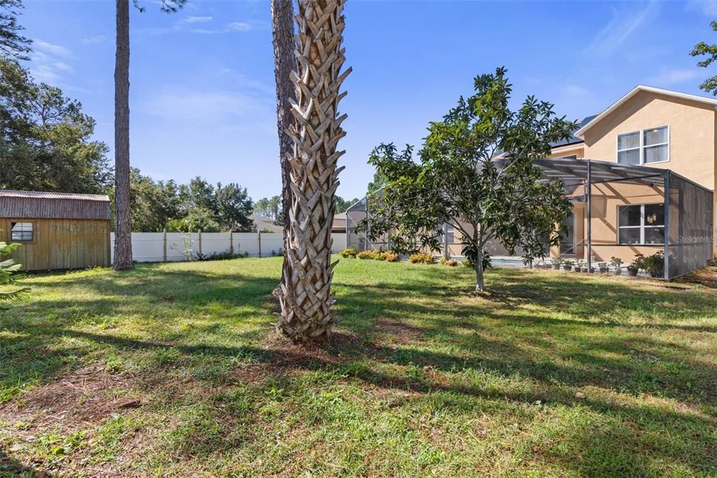 For Sale: $735,000 (6 beds, 3 baths, 3957 Square Feet)