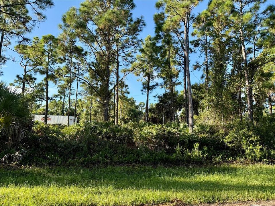 For Sale: $14,900 (0.18 acres)