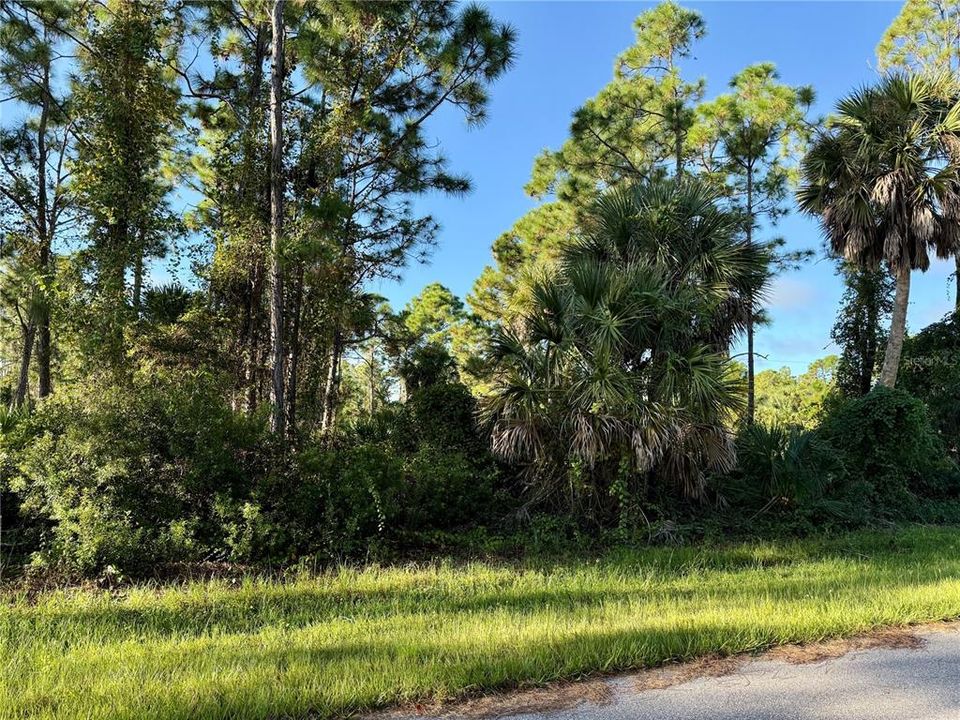 For Sale: $14,900 (0.18 acres)