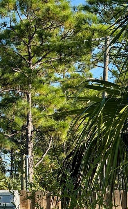 For Sale: $14,900 (0.18 acres)