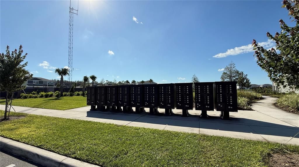 出租: $2,650 (4 贝兹, 3 浴室, 2258 平方英尺)