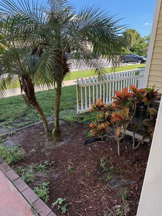 出租: $1,650 (2 贝兹, 1 浴室, 1032 平方英尺)