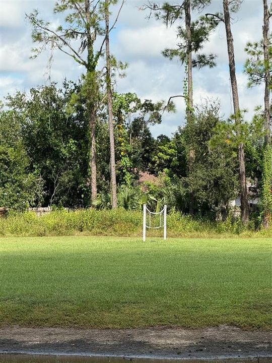 出租: $1,650 (2 贝兹, 1 浴室, 1032 平方英尺)