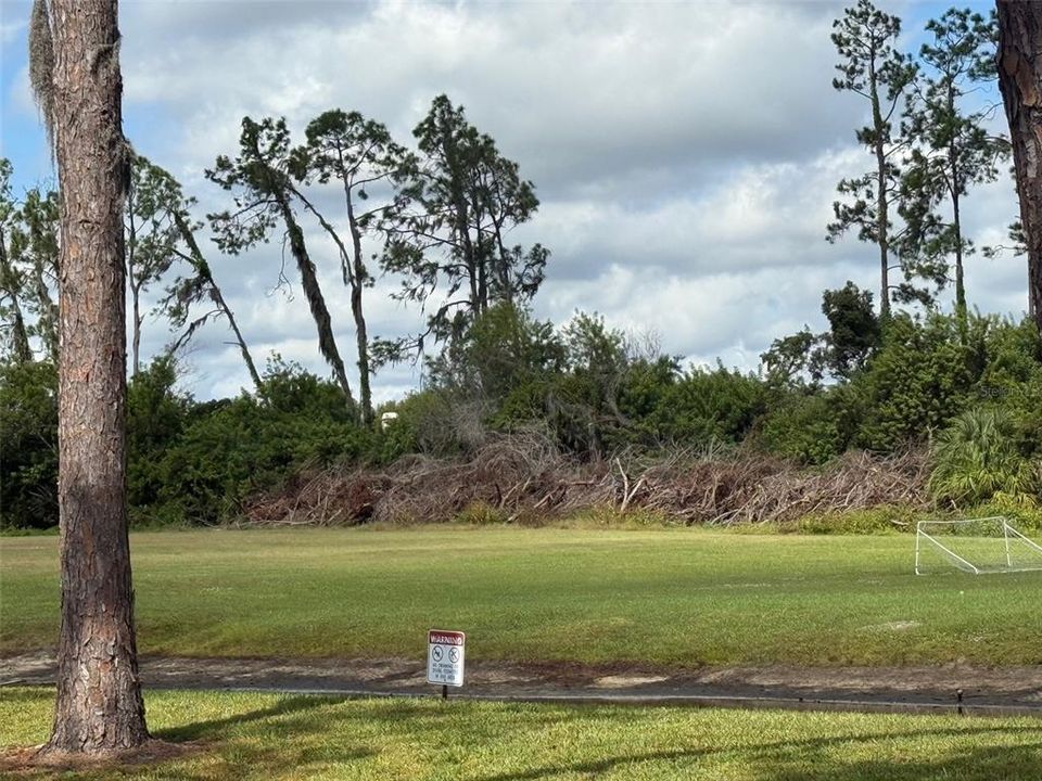 出租: $1,650 (2 贝兹, 1 浴室, 1032 平方英尺)