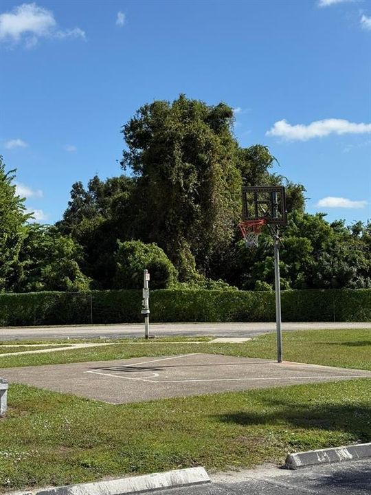 出租: $1,650 (2 贝兹, 1 浴室, 1032 平方英尺)