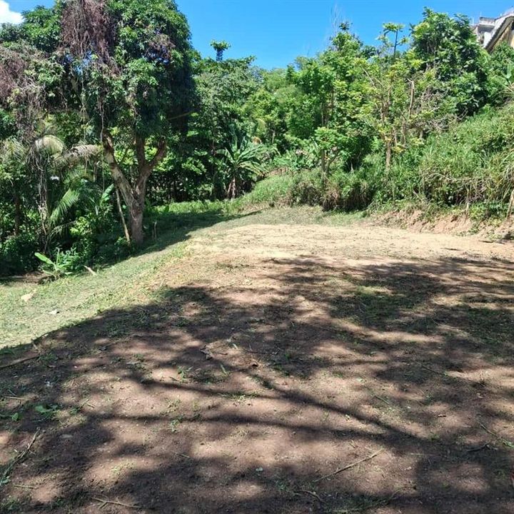 For Sale: $78,000 (0.75 acres)