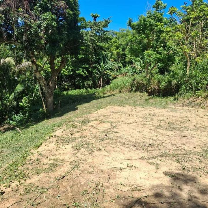 For Sale: $78,000 (0.75 acres)