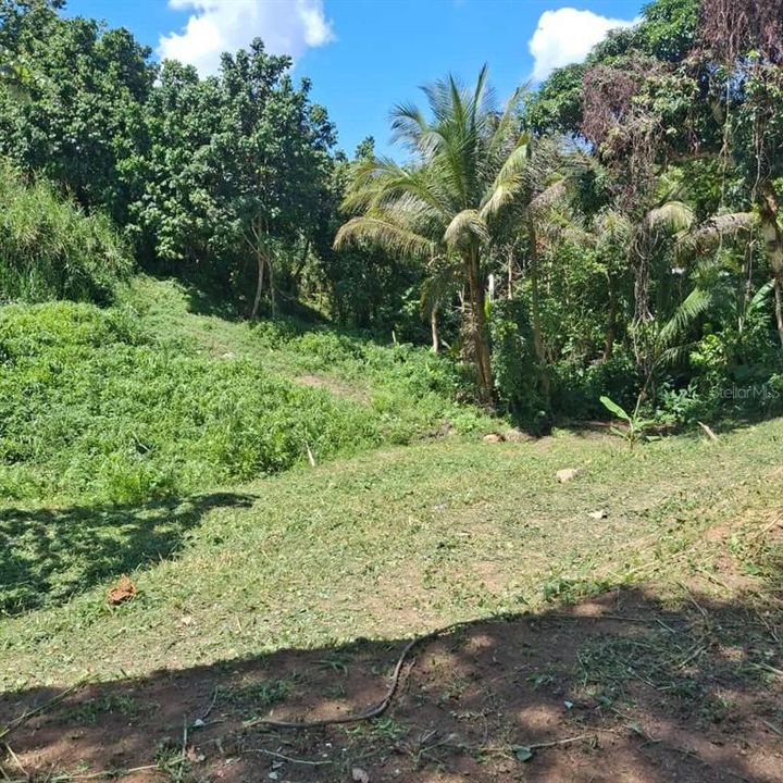 For Sale: $78,000 (0.75 acres)
