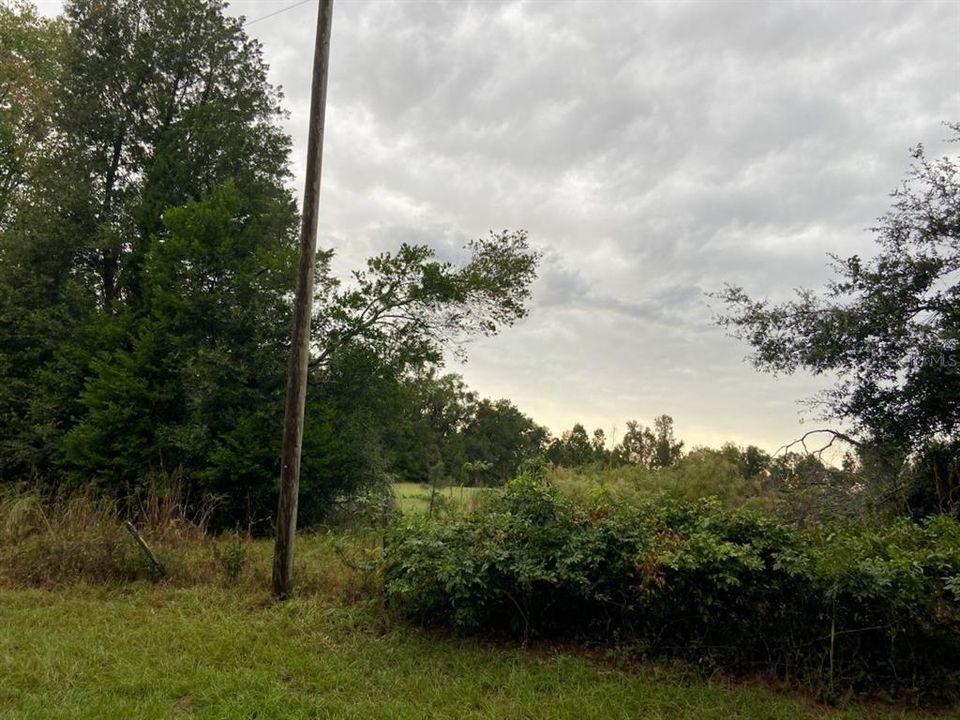 For Sale: $125,900 (5.20 acres)