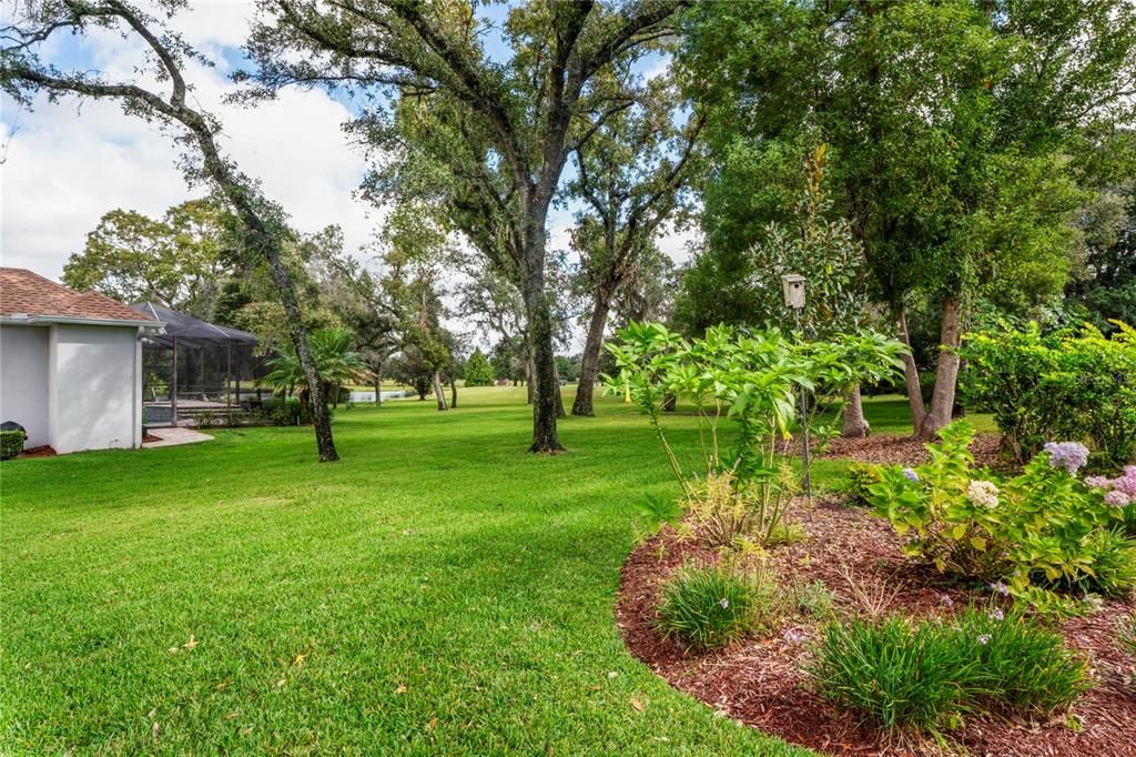 Под контрактом: $440,000 (4 спален, 3 ванн, 2468 Квадратных фут)