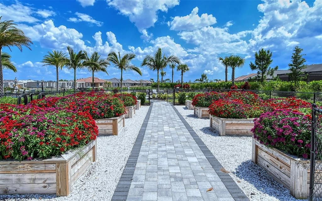 出租: $7,500 (3 贝兹, 3 浴室, 3101 平方英尺)