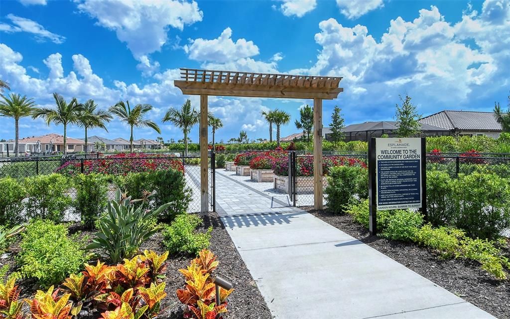 出租: $7,500 (3 贝兹, 3 浴室, 3101 平方英尺)