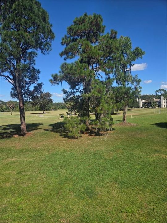 For Rent: $1,600 (2 beds, 2 baths, 1110 Square Feet)