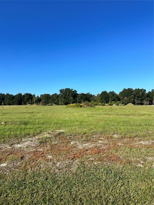 For Sale: $149,900 (1.00 acres)