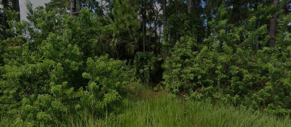 На продажу: $45,000 (0.24 acres)