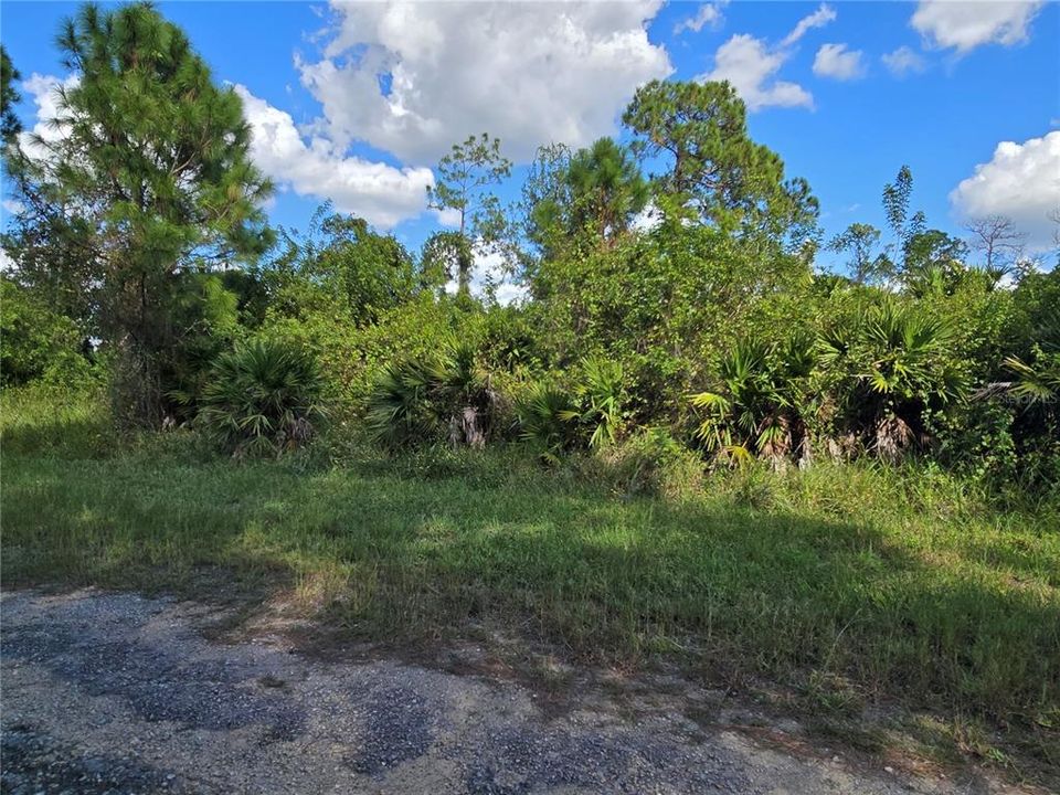 На продажу: $67,600 (0.23 acres)