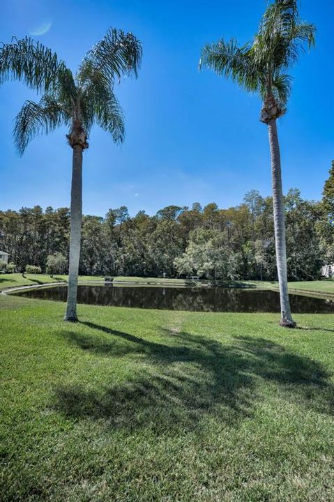 Active With Contract: $199,999 (2 beds, 2 baths, 1041 Square Feet)