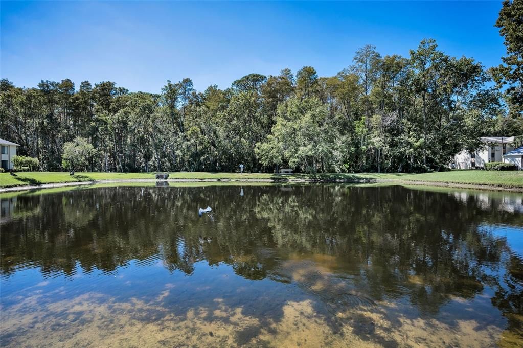 Active With Contract: $199,999 (2 beds, 2 baths, 1041 Square Feet)