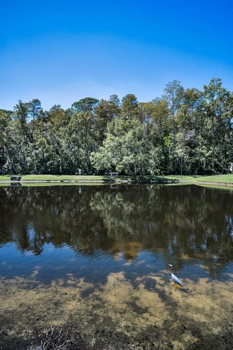 Active With Contract: $199,999 (2 beds, 2 baths, 1041 Square Feet)