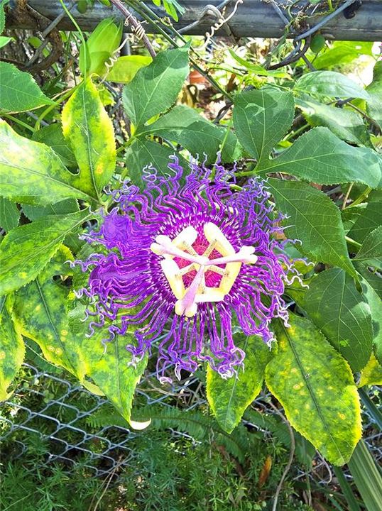 For Sale: $229,900 (3 beds, 2 baths, 1624 Square Feet)