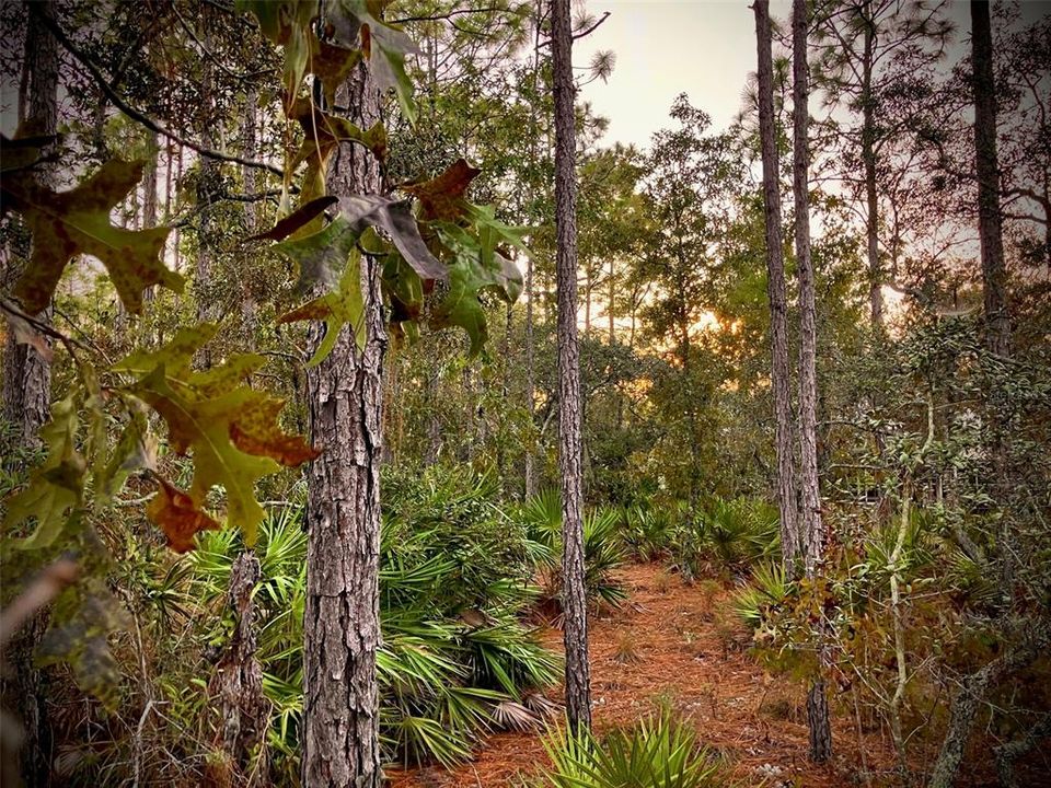 最近售出: $119,000 (2.37 acres)