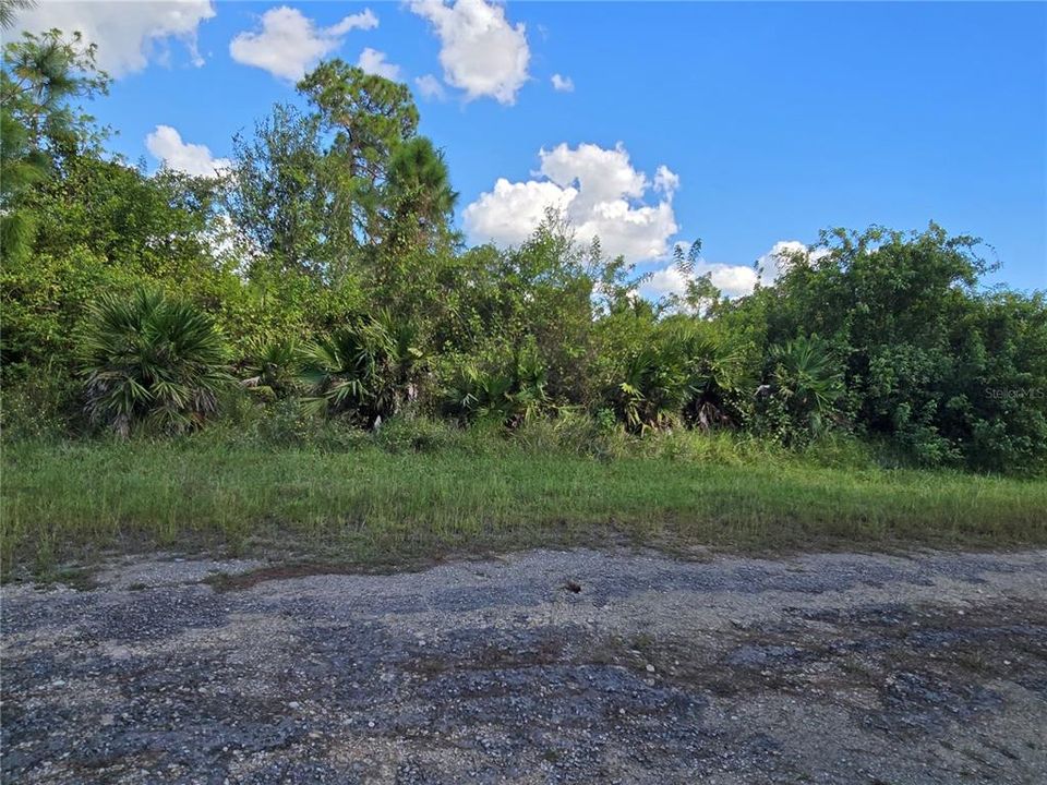 For Sale: $67,600 (0.23 acres)