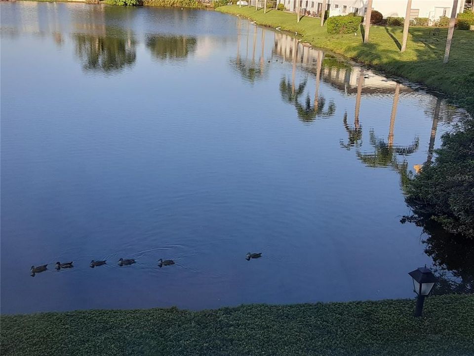 For Sale: $174,900 (2 beds, 2 baths, 1270 Square Feet)