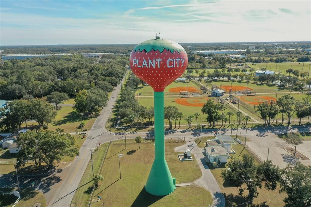 For Sale: $315,000 (3 beds, 2 baths, 1484 Square Feet)