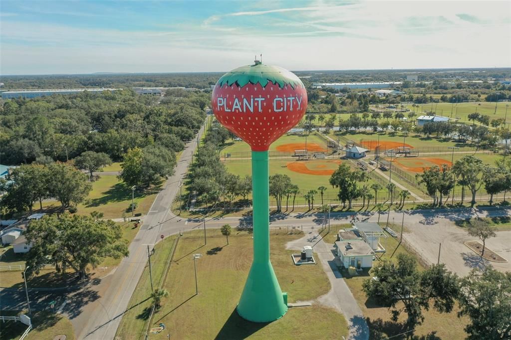 For Sale: $315,000 (3 beds, 2 baths, 1484 Square Feet)