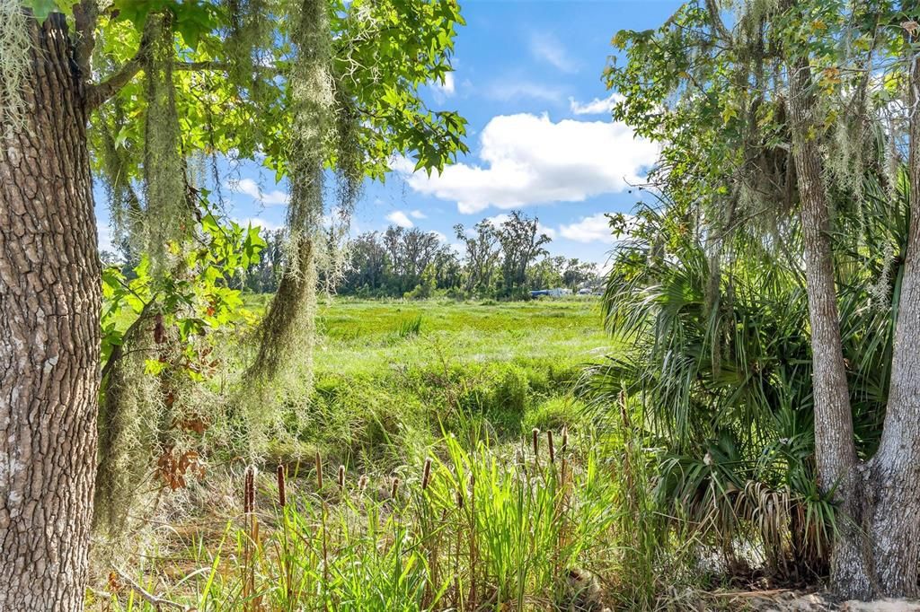 For Sale: $329,900 (3 beds, 2 baths, 1552 Square Feet)