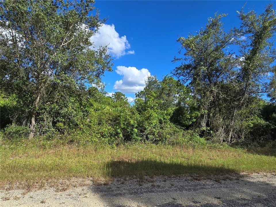 На продажу: $67,600 (0.23 acres)