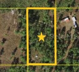 待售: $12,900 (1.25 acres)