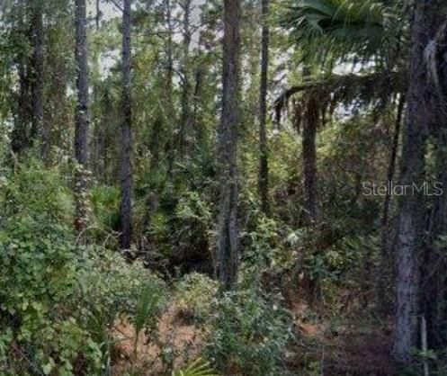 For Sale: $48,268 (0.23 acres)