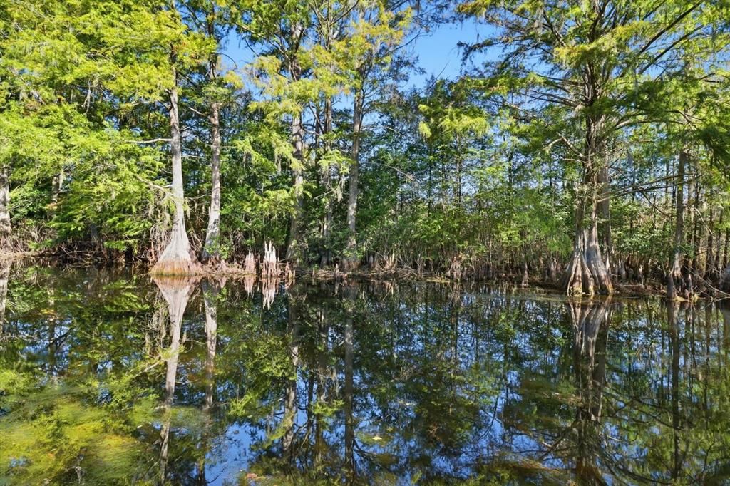 En Venta: $425,000 (3 camas, 2 baños, 2452 Pies cuadrados)