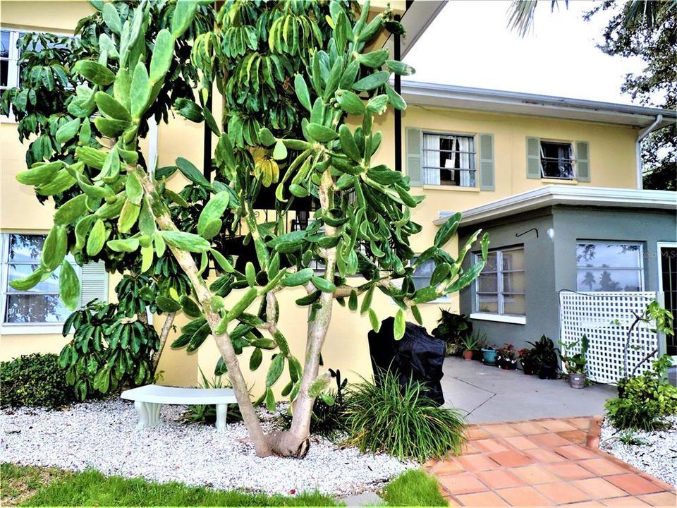 En Renta: $1,400 (1 camas, 1 baños, 800 Pies cuadrados)