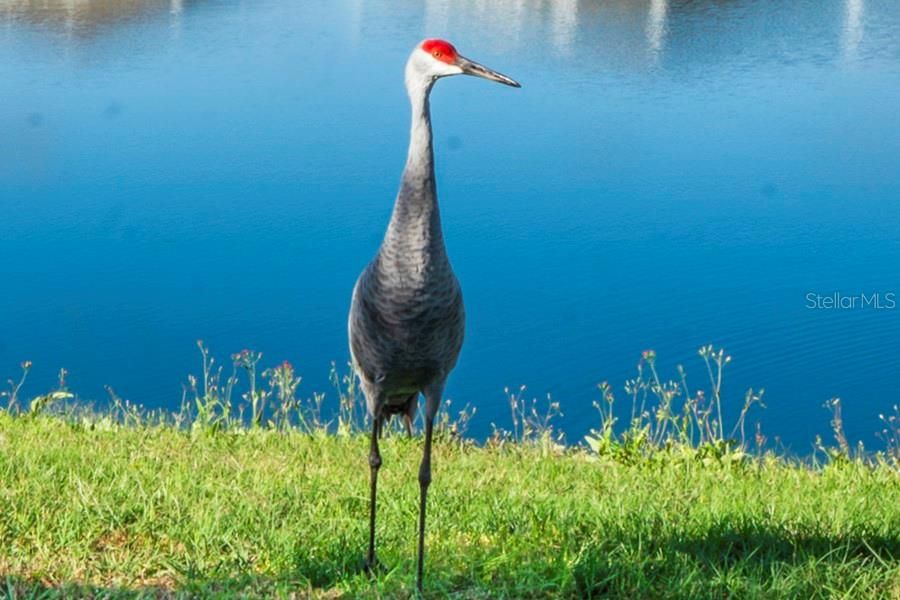 For Sale: $355,000 (3 beds, 2 baths, 1565 Square Feet)