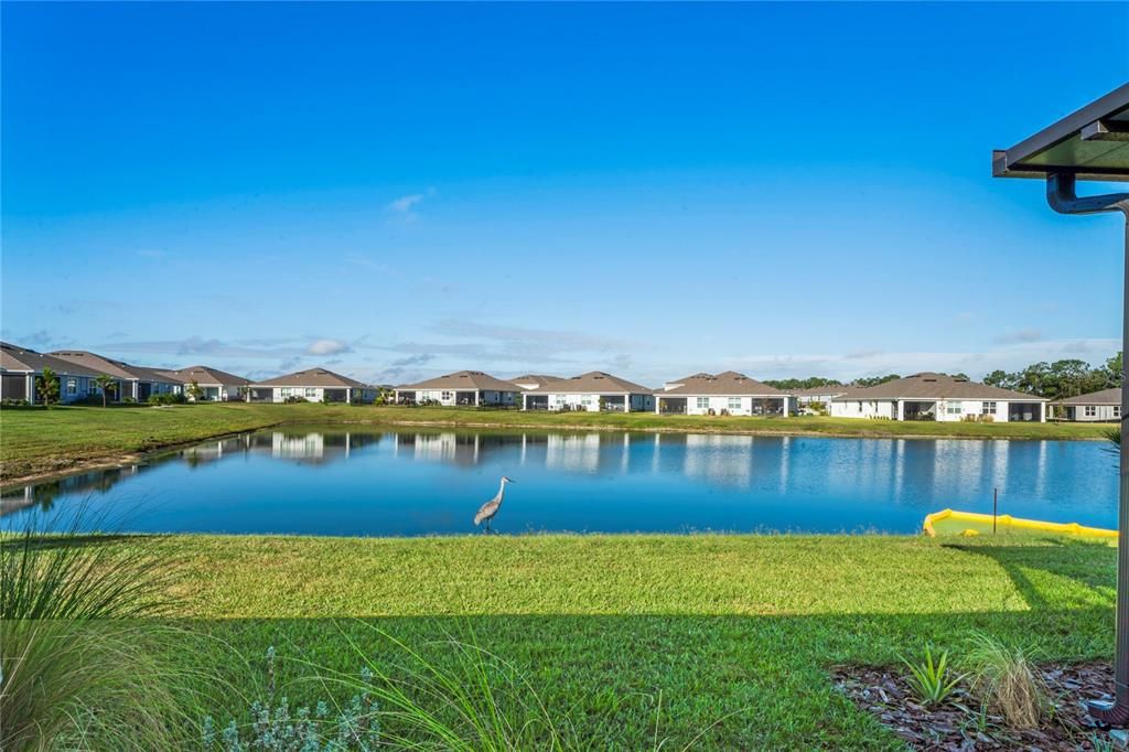 For Sale: $355,000 (3 beds, 2 baths, 1565 Square Feet)