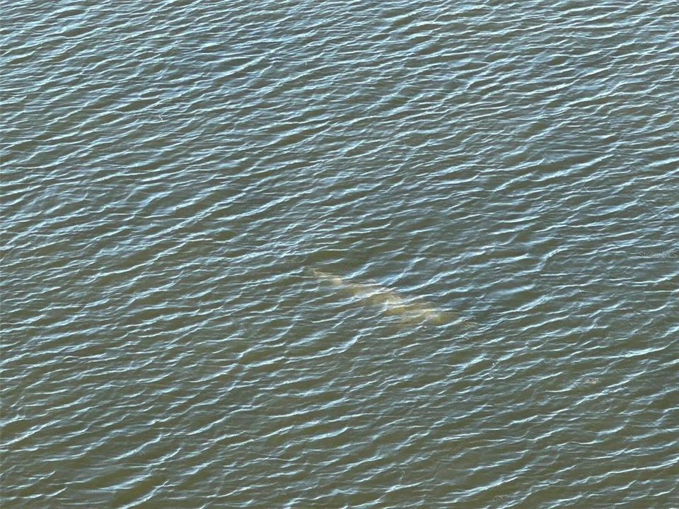 На продажу: $159,900 (1 спален, 1 ванн, 733 Квадратных фут)