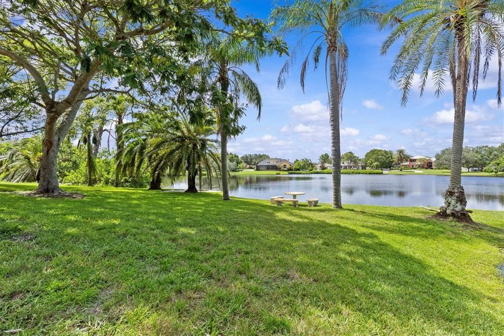 出租: $4,900 (5 贝兹, 4 浴室, 5014 平方英尺)