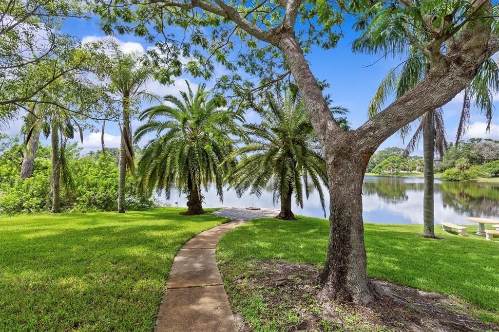 出租: $4,900 (5 贝兹, 4 浴室, 5014 平方英尺)